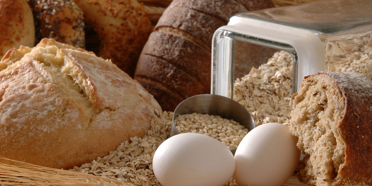 Výroba chleba a sucharů (křupavého chleba)